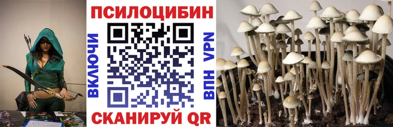 Псилоцибиновые грибы GOLDEN TEACHER  Железноводск 