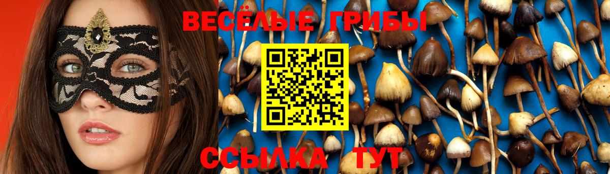 Железноводск  Псилоцибиновые грибы ЛСД  Вход с VPN 