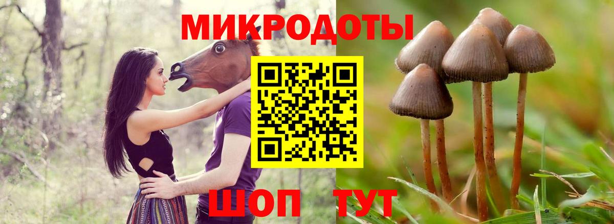Псилоцибиновые грибы мухоморы Железноводск